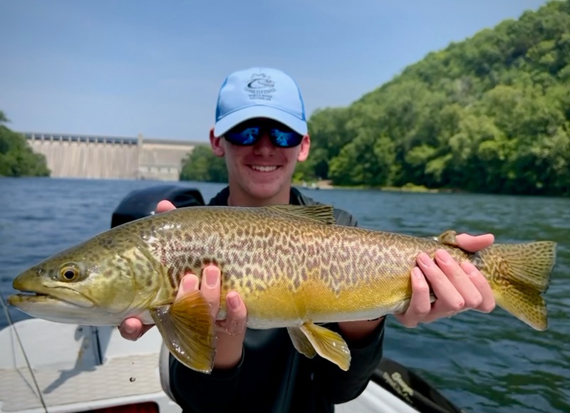 Unofficial Tiger Trout Record – The Ozark Fly Fisher Journal