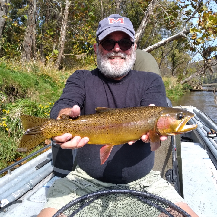 dally's Fly fishing report 10-27-23 – The Ozark Fly Fisher Journal